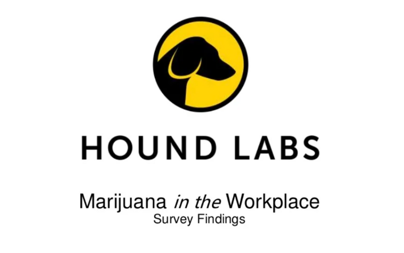 Marijuana in the Workplace Study