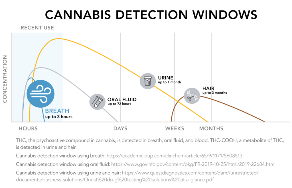 Drug Detection Times for Marijuana Depend on the Test Hound Labs