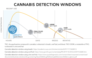 Drug Detection Times For Marijuana Depend On The Test | Hound Labs