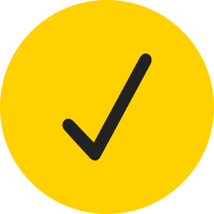 Checkmark Icon Yellow Circle