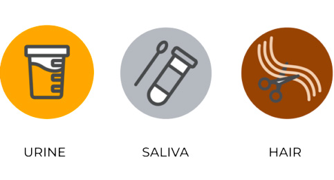 Urine Saliva Hair Icon