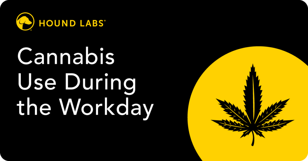 Hound Labs Blog Workday Cannabis Use