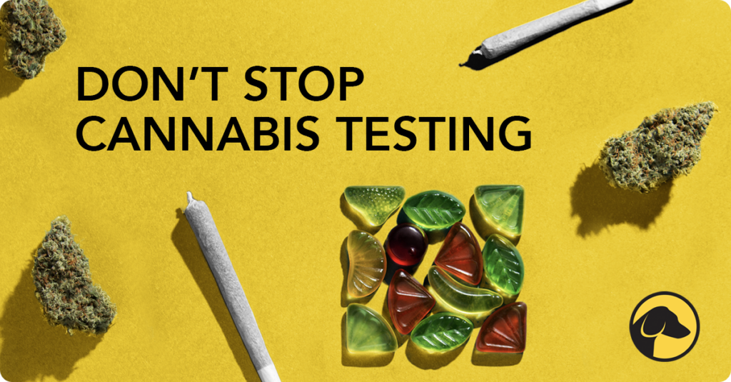 Hound Labs Blog Cannabis Laws