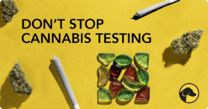 Hound Labs Blog Cannabis Laws 1200x628 1