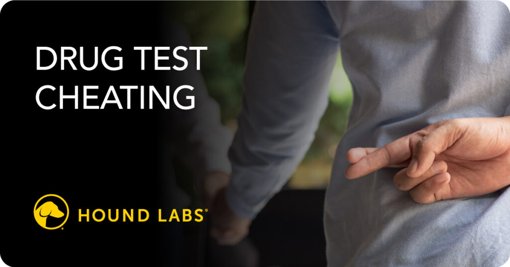 Hound Labs Blog Drug Test Cheating