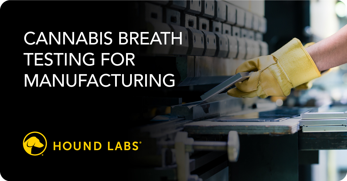 Hound Labs Blog Cannabis Use in Manufacturing